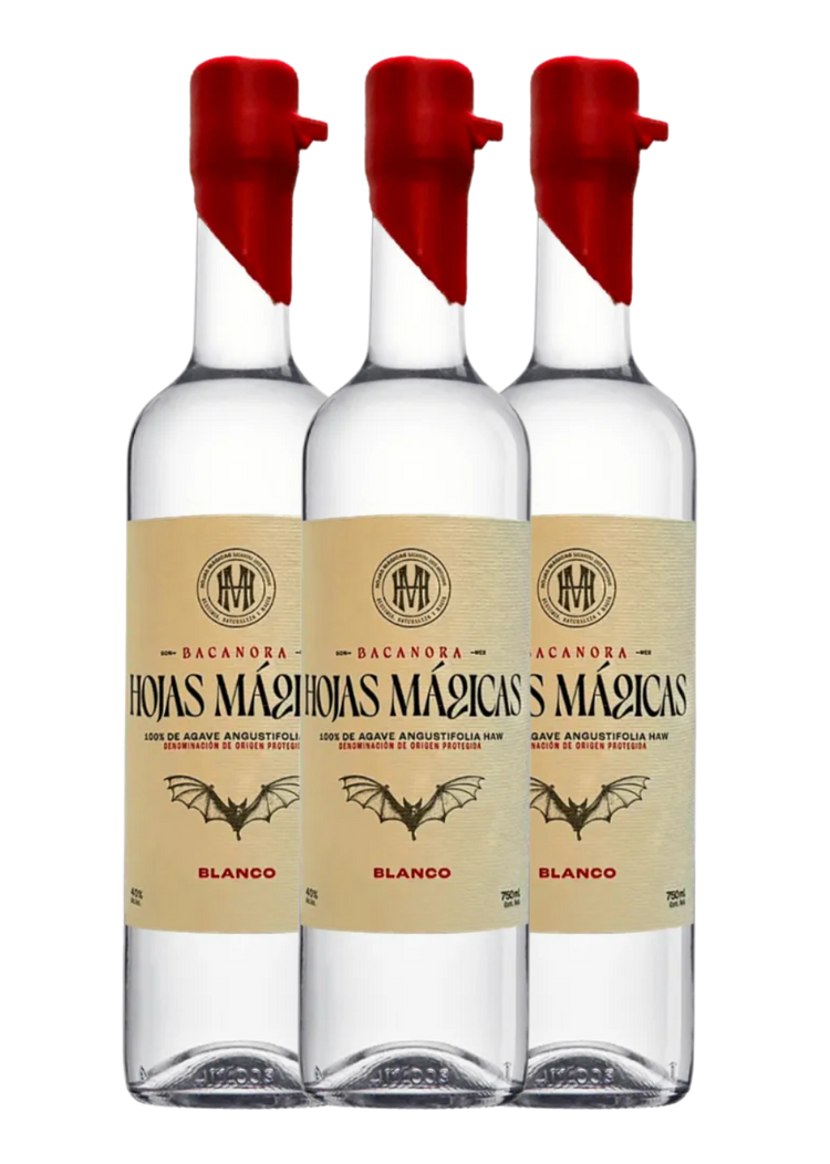 Tri Pack Botella Bacanora Hojas Mágicas 750 ml.