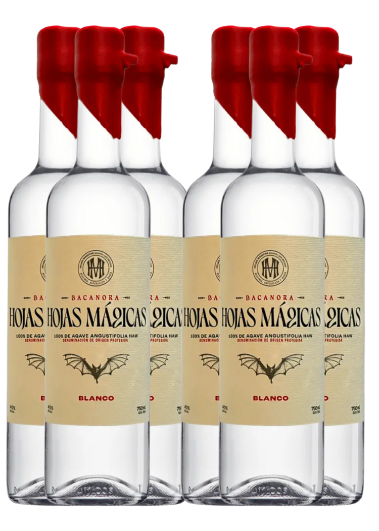 Caja 6 piezas Botella Bacanora Hojas Mágicas 750 ml.