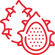 Polinizadores del desierto