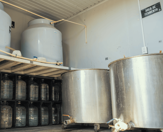 Fermentación